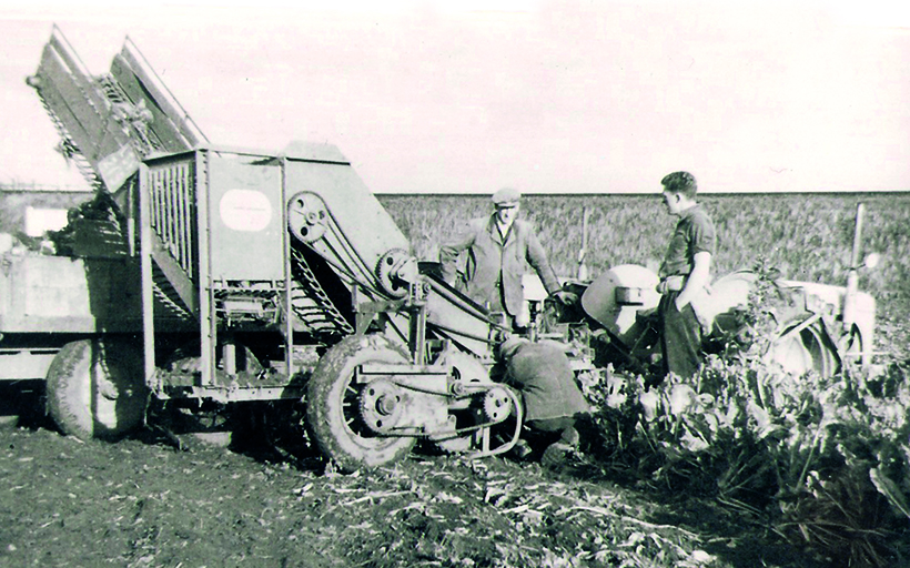 Beet farming of yesteryear