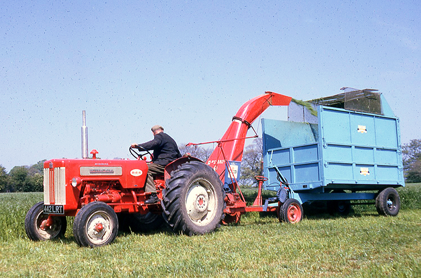 Silage-making secrets from the 1960s