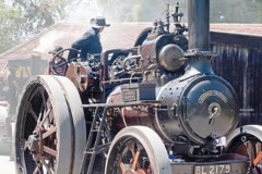 1920 Marshall 6hp Q Class traction engine lives on