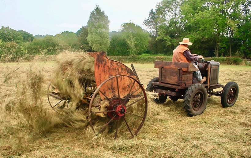 vintage hay-making day
