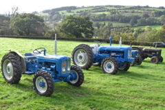 A fine collection of Roadless Fordson tractors