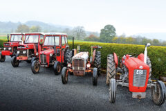 Ferguson and Massey Ferguson tractor classics on display