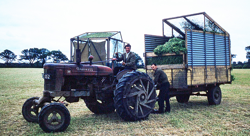Silage-making secrets from the 1960s