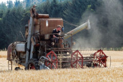 Classic combine harvesters still working hard!