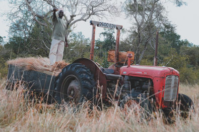 Classic 1957 MF 35 tractor working in Tanzania
